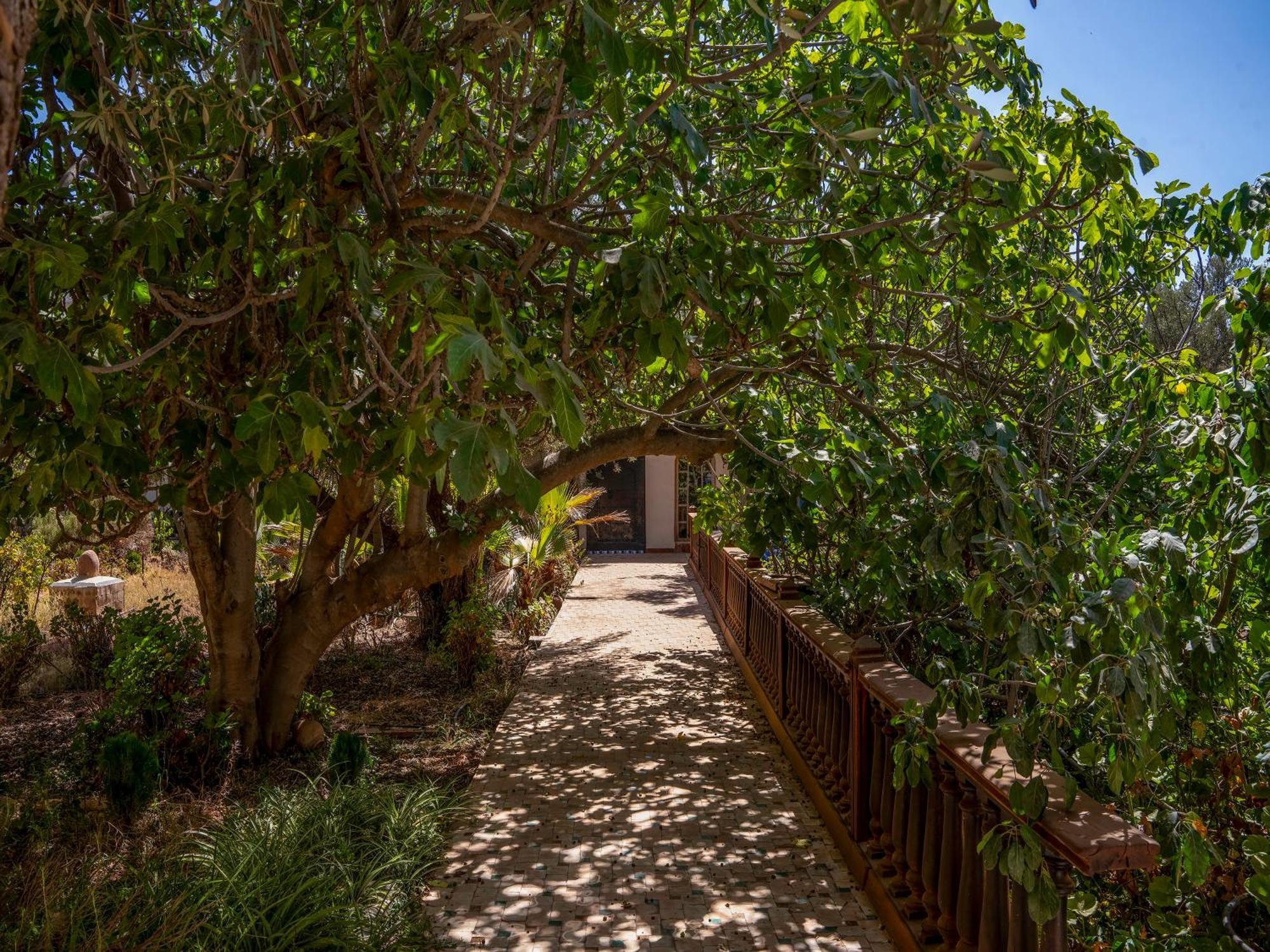 Riad Cle De Sol Aghmat Ngoại thất bức ảnh